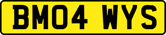 BM04WYS