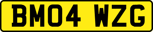 BM04WZG