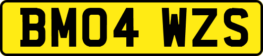 BM04WZS