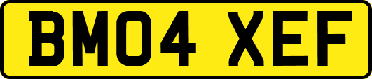 BM04XEF