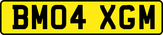 BM04XGM