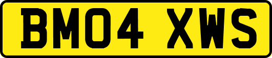BM04XWS