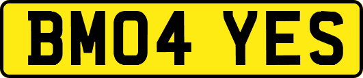 BM04YES
