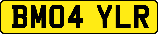 BM04YLR