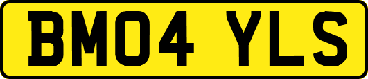 BM04YLS