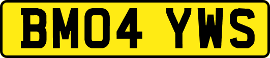 BM04YWS