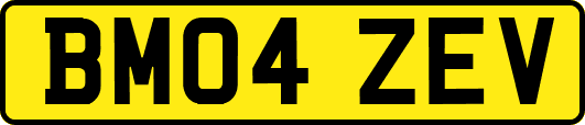 BM04ZEV