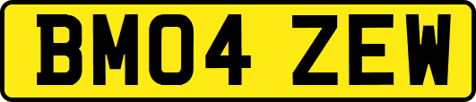 BM04ZEW