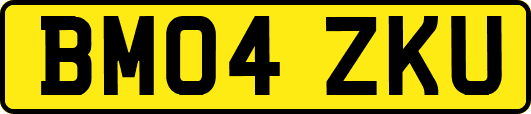 BM04ZKU