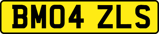 BM04ZLS