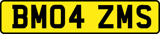 BM04ZMS