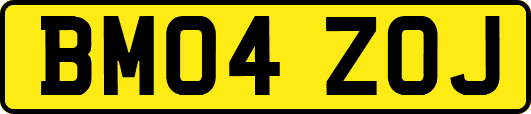 BM04ZOJ