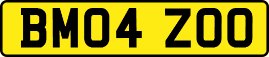BM04ZOO