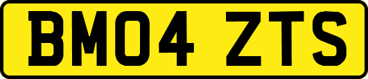 BM04ZTS