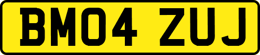 BM04ZUJ