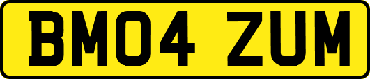BM04ZUM