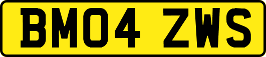BM04ZWS