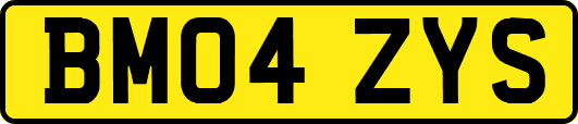 BM04ZYS