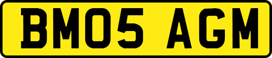 BM05AGM