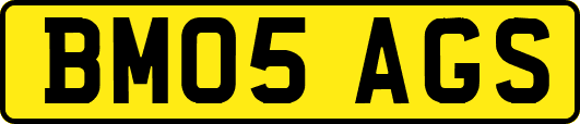 BM05AGS