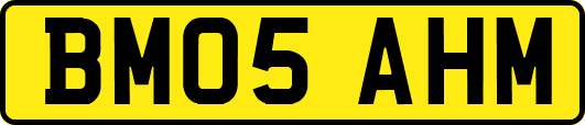 BM05AHM