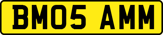 BM05AMM