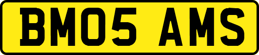 BM05AMS