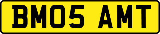 BM05AMT