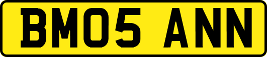 BM05ANN