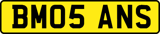 BM05ANS