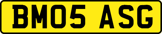 BM05ASG