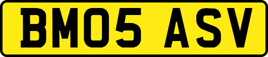 BM05ASV