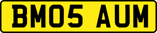 BM05AUM