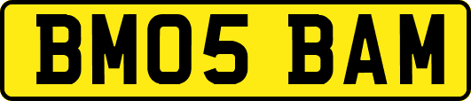 BM05BAM