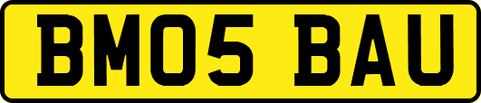 BM05BAU