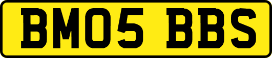 BM05BBS