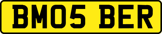 BM05BER