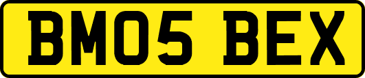 BM05BEX