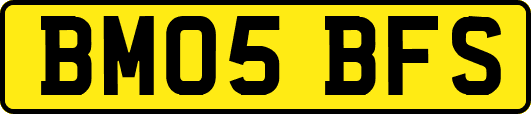 BM05BFS
