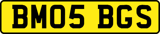 BM05BGS
