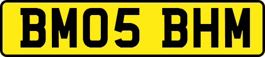 BM05BHM