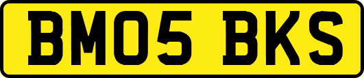BM05BKS
