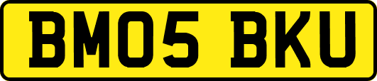 BM05BKU