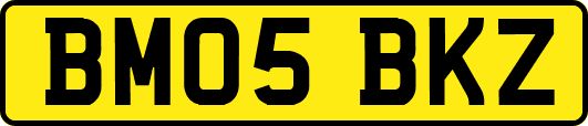 BM05BKZ