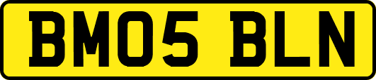BM05BLN