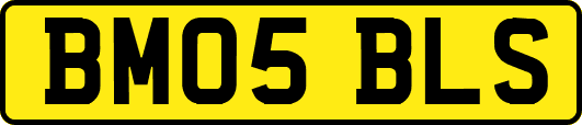 BM05BLS