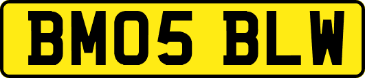 BM05BLW