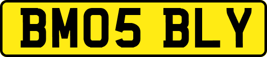 BM05BLY