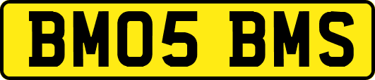 BM05BMS