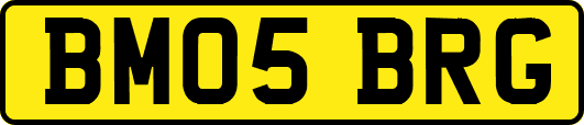 BM05BRG